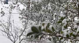 US: Major Winter Storm Sweeps Across South, Prompting States Of Emergency 4