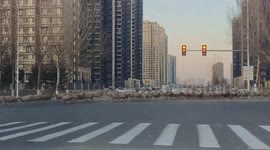 Flock of sheep hold up traffic as farmer crosses road in China