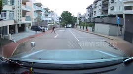Expat jumps into road to stop car that was 'scaring his pet dogs' in Hong Kong