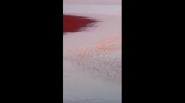 A glimpse of China's Poyang Lake