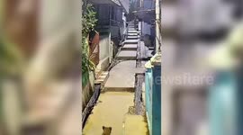 India: Predawn leopard sighting spark panic amongst residents