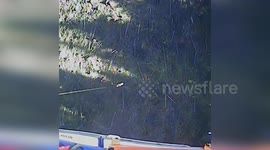 US: Coast Guard Air Station Saves Injured Hiker in Remote Hoh Valley Rescue