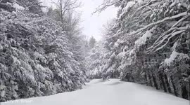 Snow Storm Drive On Blackwater Lodge Road In West Virginia