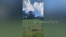 American tourist, 68, rescued after getting  lost in Thai forest