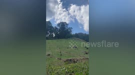American tourist, 68, rescued after getting  lost in Thai forest
