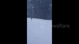 US: Major Winter Storm Sweeps Across South, Prompting States Of Emergency 7