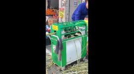 Automatic sugarcane peeler amazes in China