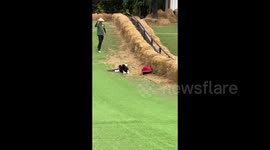 Park visitor riding cart down slope crashes into hay bales