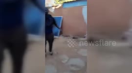 Sudan: Sudanese Special Forces Rescue Civilian Hostages in Omdurman
