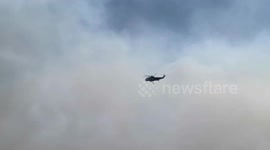 US: Palisades Fire Rages On as Winds Fuel Flames