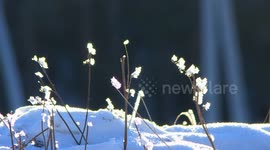 Severe winter weather affects several Mongolian provinces