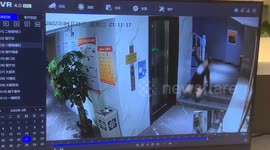 Stiletto-wearing secretary slips down stairs at office on China