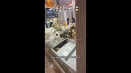 Man Climbs Into Claw Machine to Take His Prize
