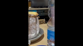 Purfessional Taste Tester