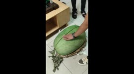 Giant 108-pound watermelon impresses in China