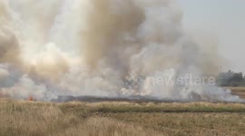 Selfish Thai farmers burn crops causing thick clouds of smoke to engulf the country
