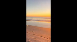 Self help from books I am reading while walking my dogs on the beach