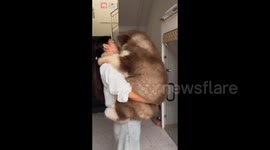 China: A Big Shy Dog