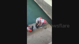 Locals scramble to collect fish washed up on sea breaker in the Philippines