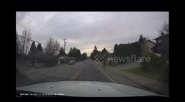 Woman Willingly Runs In Front Of Oncoming Truck