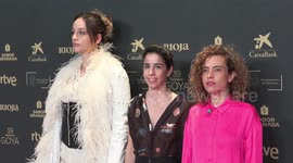 Spain: The nominees for the Goya Awards celebrate a year of film for Spanish cinema