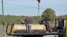 Israel: Missile fired from Yemen falls near Jerusalem