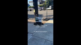 A service delivery robot was trying to do her job her name is Nikita and we got to close to her and she fell in a ditch. We then helped lift her out and she thanked us and went in her way!