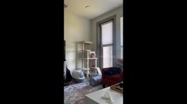 Cat Stuffs Herself Into Cozy Condo