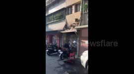 Pet cat fails spectacularly while trying to jump up to balcony