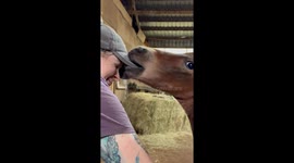 Foal Can't Resist Delicious Baseball Cap
