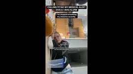 Medical Alert Dog Gives Handler Ability to Predicts Seizures & Call 911 When Alone