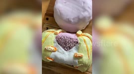 Amateur baker finds fame online - making hilarious celeb caricature cakes