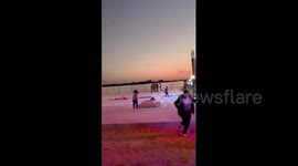 Elephant spooked by fireworks runs amok at music festival