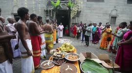Devotees prepare traditional rice dish for Thai Pongal Hindu festival in Colombo