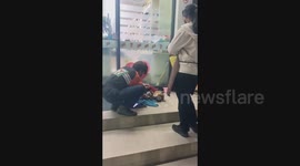 Locals give stray dog a blanket and teddy bears during cold spell in Thailand