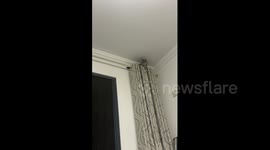 Pet cat slips while walking along curtain pole