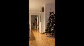 Woman in Denmark overcome with joy after boyfriend from America surprises her ahead of Christmas