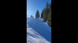 When you decide to trust your GPS while sledding down a hill