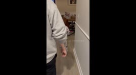 Excited five-year-old screams with joy over his cardboard shop Christmas gift