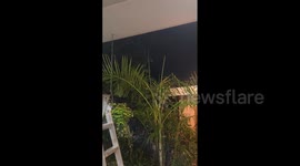 Australia: Severe Thunderstorms Batter New South Wales, Killing One 2