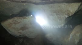 Divers find '2.5million year old shark teeth' in the Gulf of Mexico (archive)