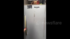 Fridge door opens to a hidden toilet outside family's home