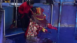 Thailand: Underwater dragon dance performance to celebrate Lunar New Year in Bangkok