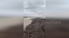 Iceland: Yak Run Damages Temporary Bridge in Iceland, Road Closed for Assessment
