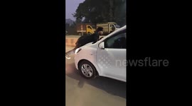 Hit-and-run victim clings to car bonnet to stop suspect from escaping
