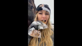 Horse Enjoys Ginger Snap