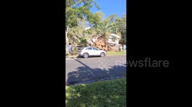 Australia: Powerful ‘Microburst’ Storm Hits Brisbane, Leaving Widespread Damage