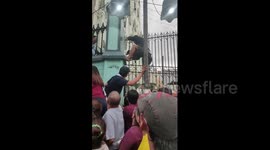 Stray dog rescued amid crowd of devotees during Nazarene festival
