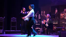 Spain: The Flamenco Romí festival brings together the main figures of the genre in Spain in La Laguna