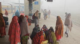 Cold wave hits Uttar Pradesh,  shivers amid fog conditions in Northern India